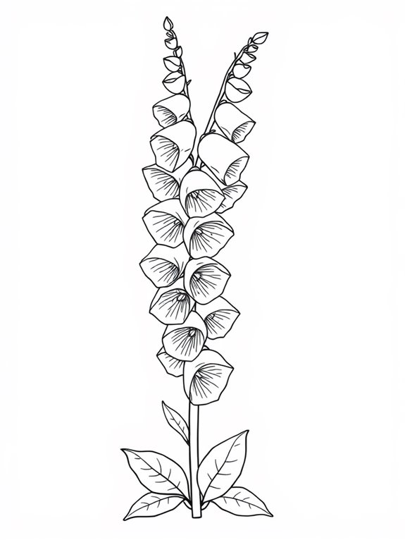 colorful foxglove flower illustration