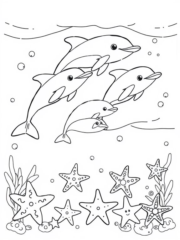 dolphins and starfish illustration