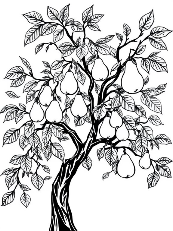 elegant pear tree illustration