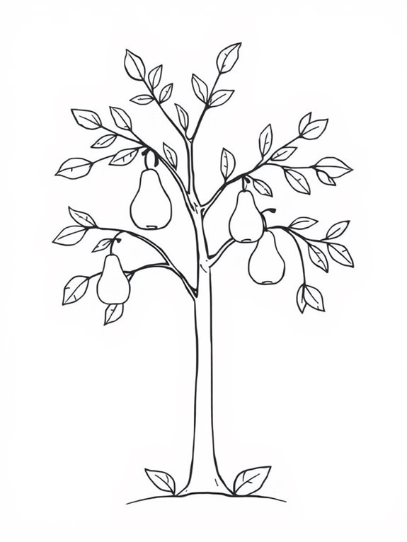 minimalist pear tree design