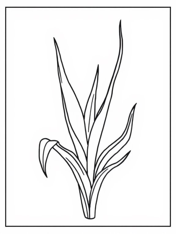 minimalist snake plant illustration