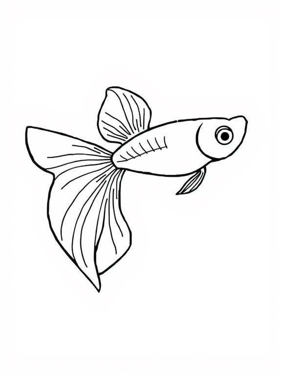 simple guppy coloring outline