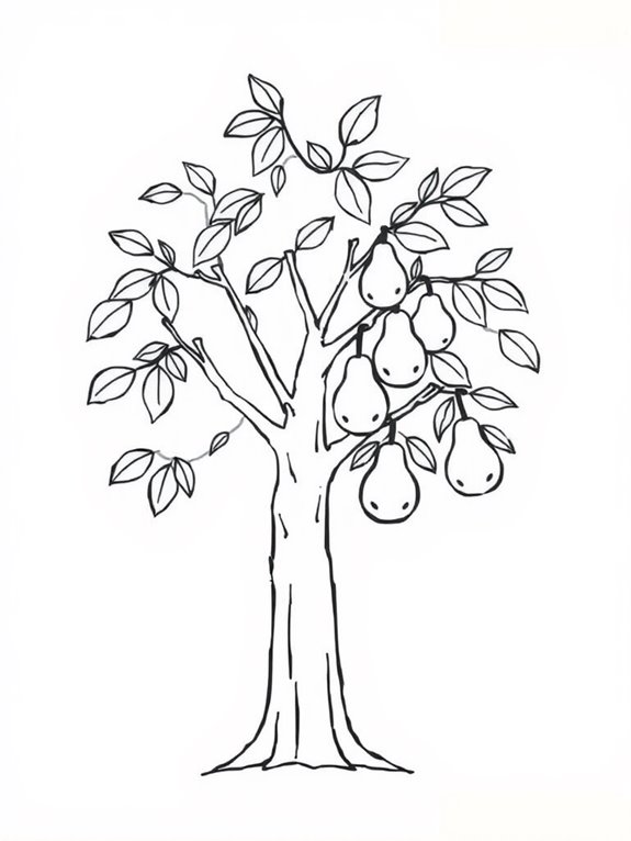 simple pear tree illustration