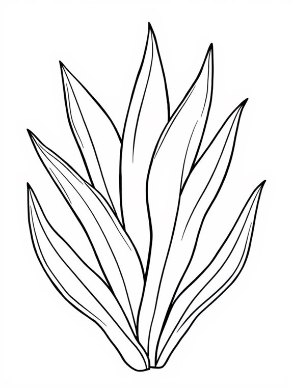 simple snake plant illustration