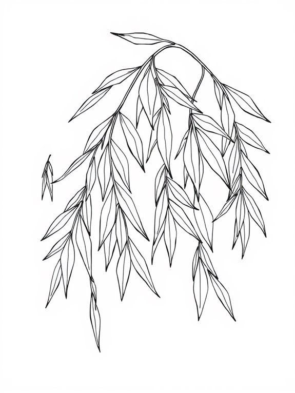 willow leaves coloring activity